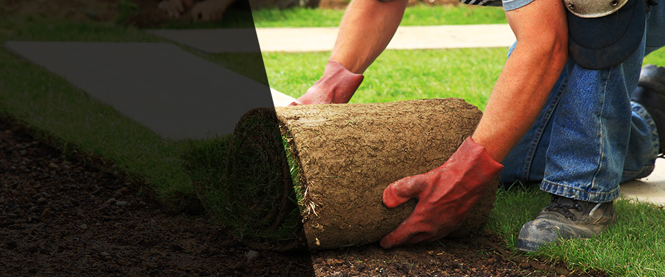 Abbotsford Landscapers